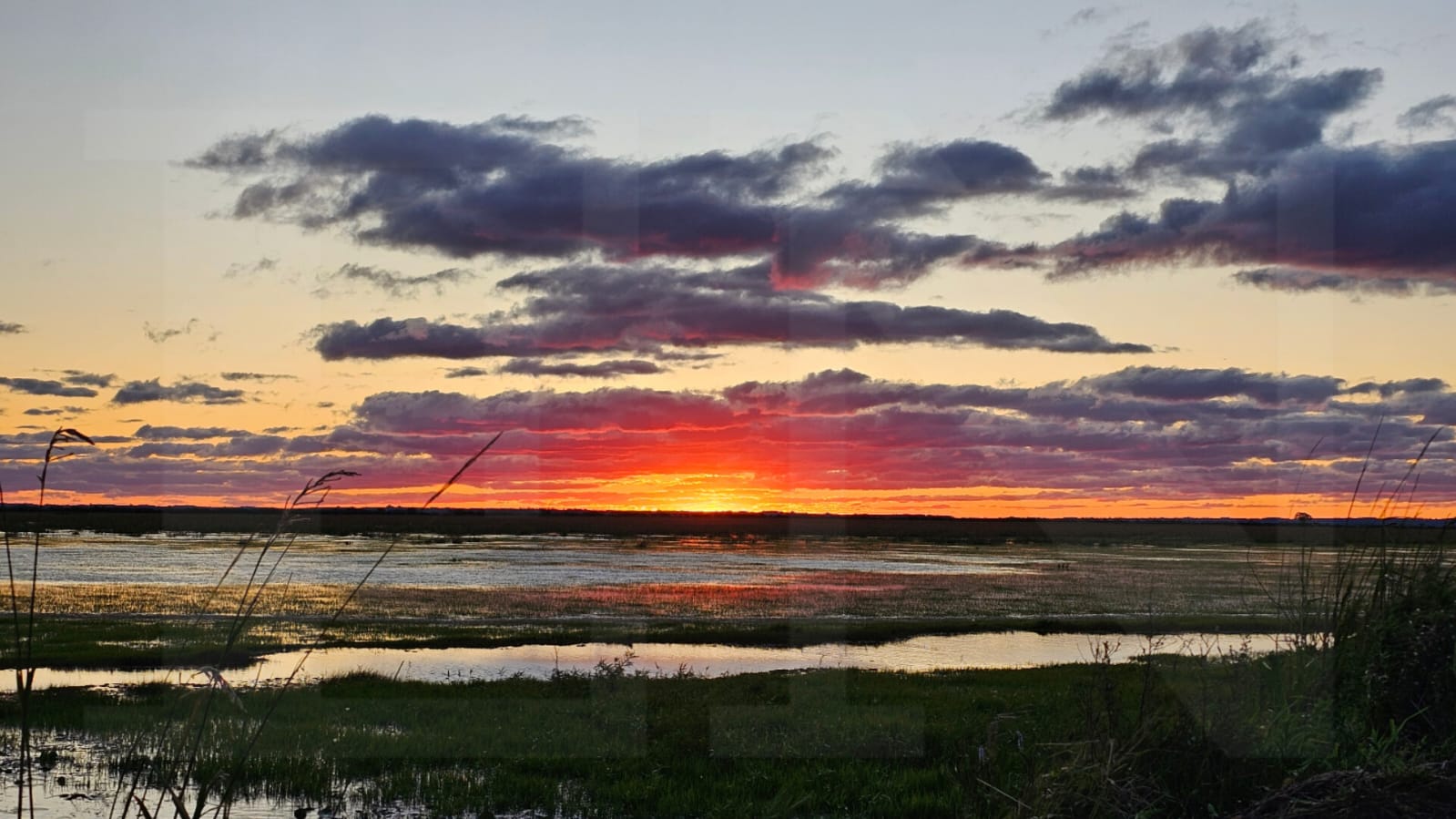 La paz y tranquilidad que otorga un atardecer. Foto: Alberto Yanosky.