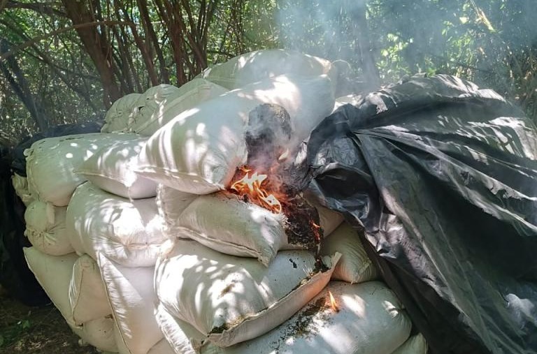 Agentes quemaron la marihuana en bolsas. Foto: Ministerio Público.