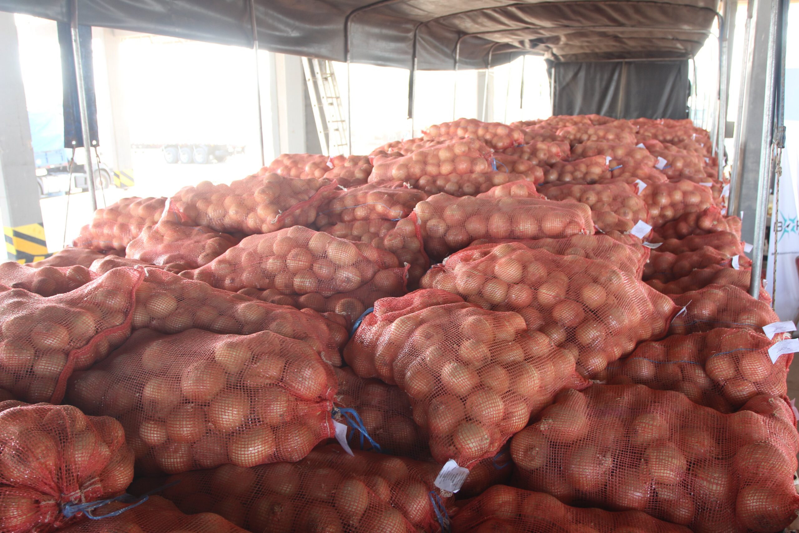 Exportación de cebolla. Foto: IP