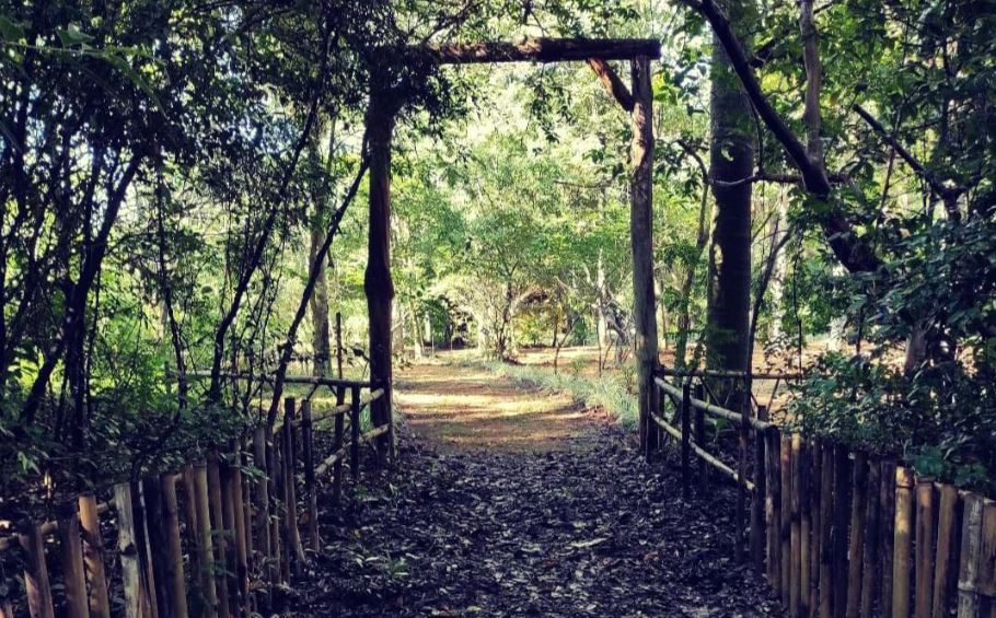 El terreno es de dos hectáreas, proporcionando un ambiente amplio y privado para los huéspedes. Foto: IG Ecoparque Kunuú Renda.