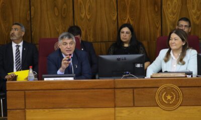 Ministro del MEC, Luis Fernando Ramírez, durante la exposición que realizó ante la Bicameral de Presupuesto del Congreso Nacional. Foto: IP