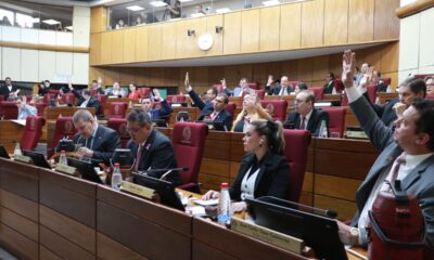 Sesión de la Cámara de Senadores. Foto: Gentileza.