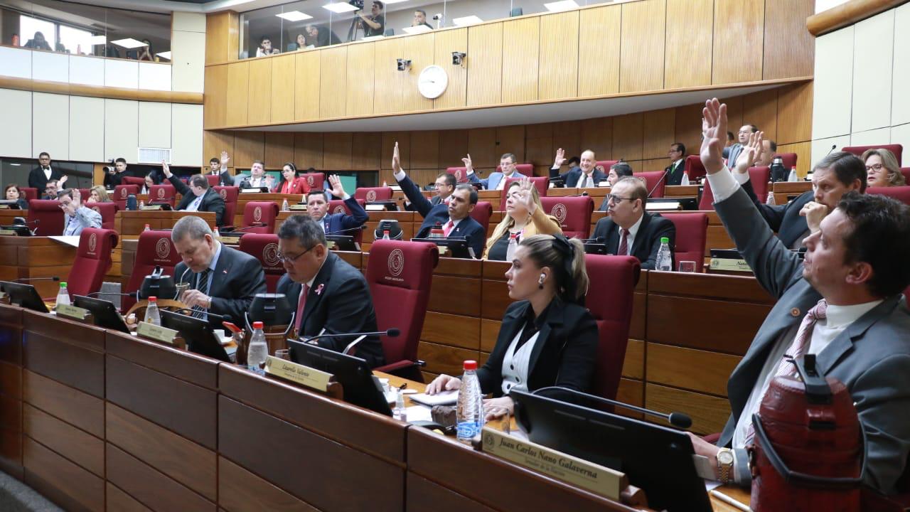 Sesión de la Cámara de Senadores. Foto: Gentileza.