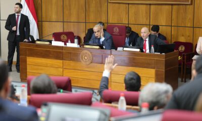 Sesión en el Senado. Foto ilustrativa. Gentileza.