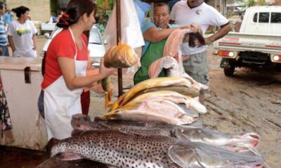 Venta de pescados en Remanso. Foto: Radio Unión.