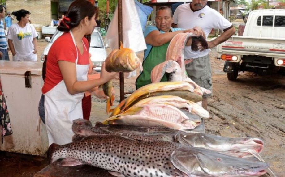 Venta de pescados en Remanso. Foto: Radio Unión.