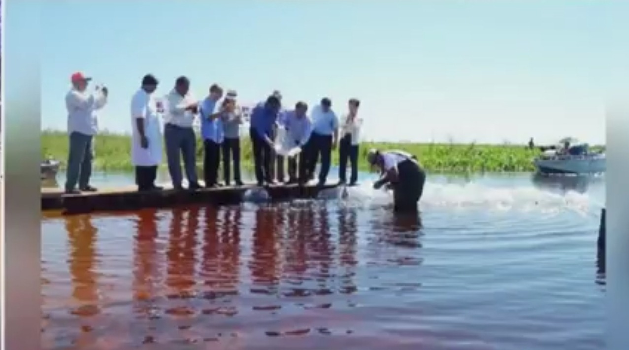 Misioneros japoneses dedicados a la pesca. Foto: Captura