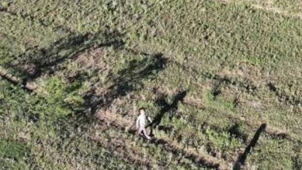 Niña desaparecida en un monte de La Pampa. Foto:Captura de pantalla