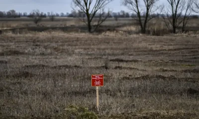 Un cartel advierte el peligro en un campo minado que hasta hace unos años eran tierras de cultivo a la entrada de Nizhyn, a unos 130 kilómetros al noreste de Kiev. (Archivo 03.03.2022) Imagen: Aris Messinis/AFP/Getty Images