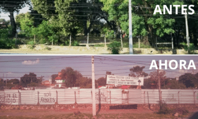 Antes y después del sitio que daba frescor y sombra al barrio San Vicente. Foto: El Nacional.