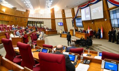 Sesión de la Cámara de Diputados. Foto: Gentileza.