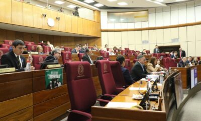 Sesión de la Cámara de Senadores. Foto: Gentileza.