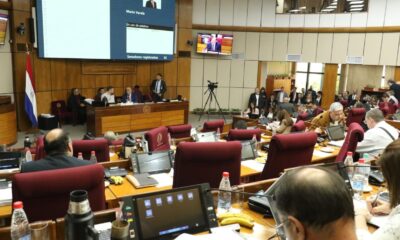 Sesión del Senado. Foto: Gentileza.