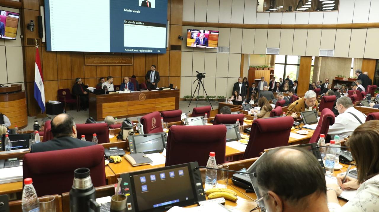 Sesión del Senado. Foto: Gentileza.