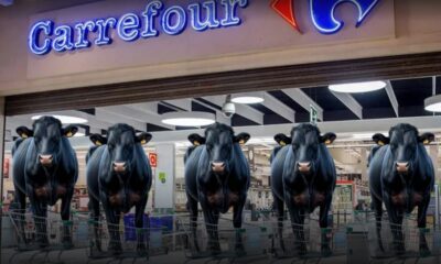 CEO de Carrefour decidió suspender la compra de carne proveniente de los países del Mercosur. Foto: Internet