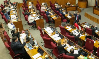 Plenaria de la sesión de senadores. Foto: Gentileza.