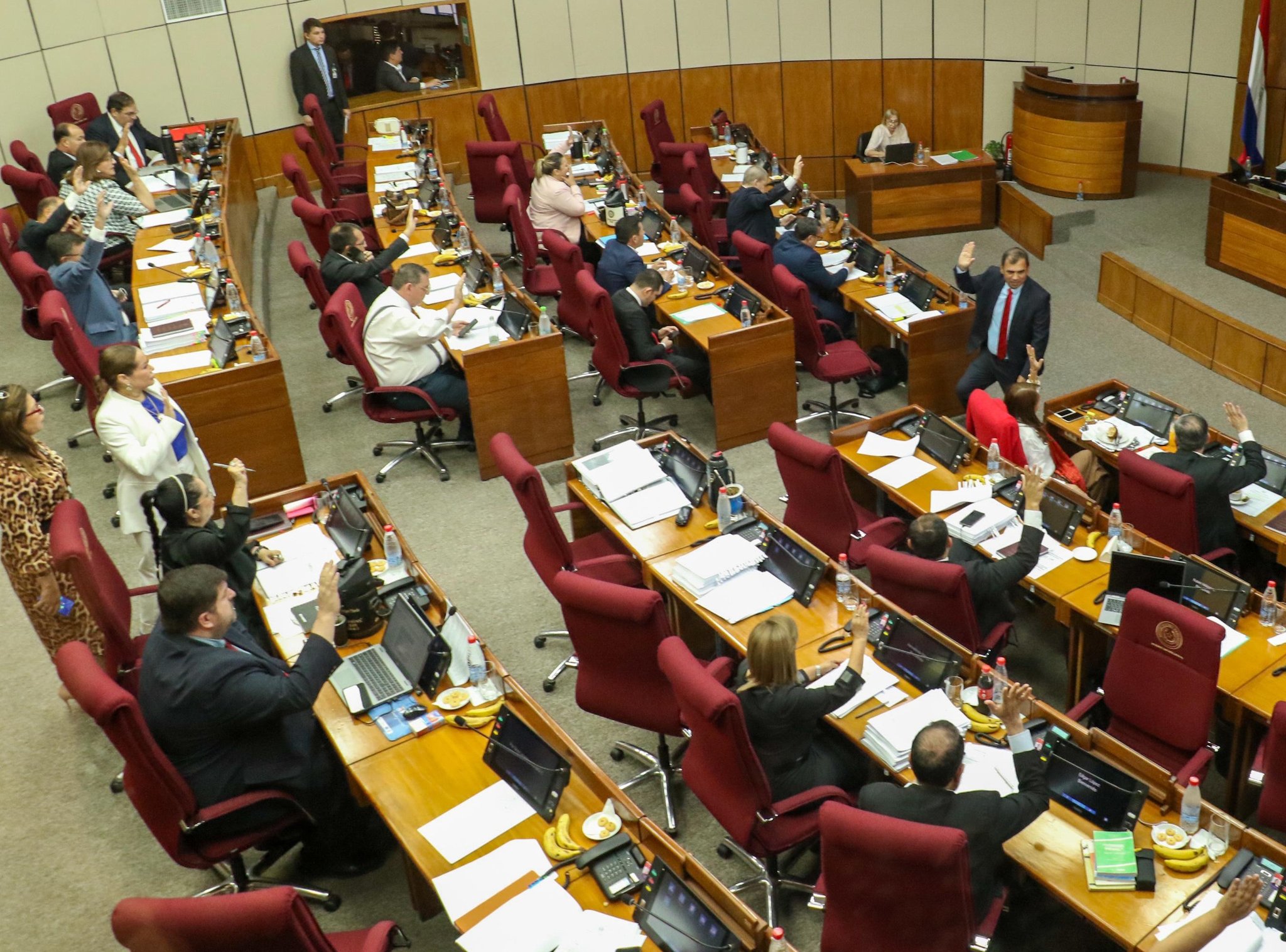 Plenaria de la sesión de senadores. Foto: Gentileza.