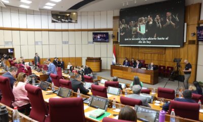 Sesión extra del Senado. Foto: Gentileza.