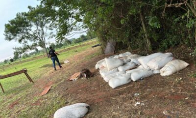 Incautación de marihuana picada. Foto: Ministerio Público.