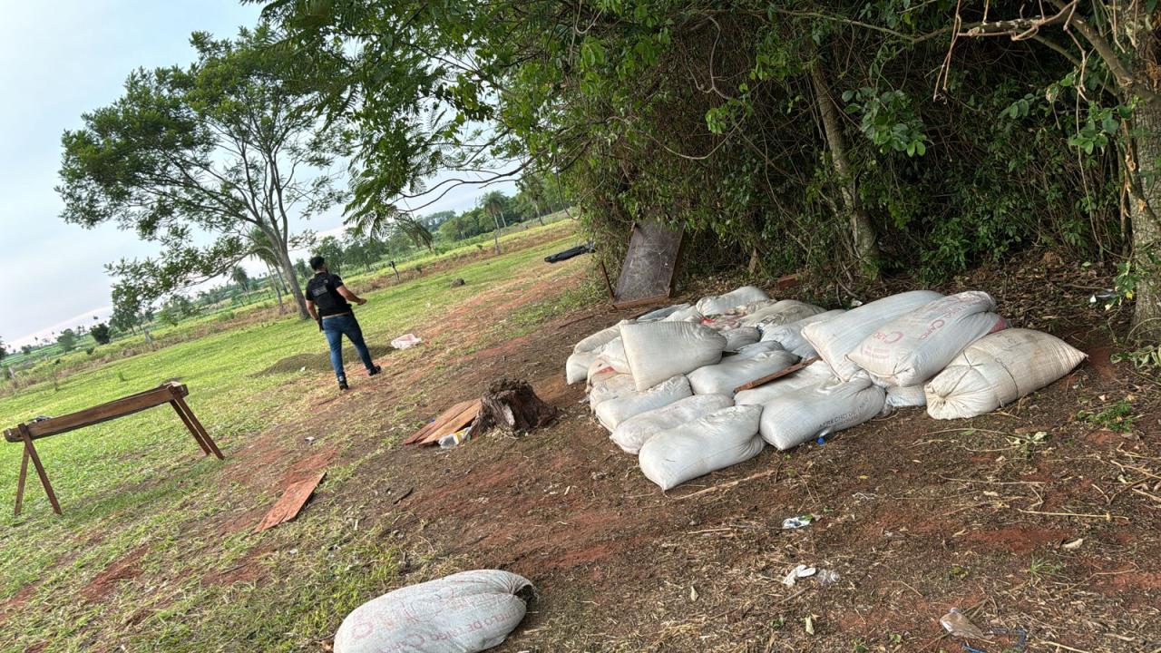 Incautación de marihuana picada. Foto: Ministerio Público.