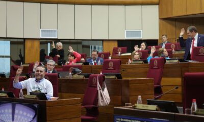 Sesión del Senado. Foto: Gentileza.