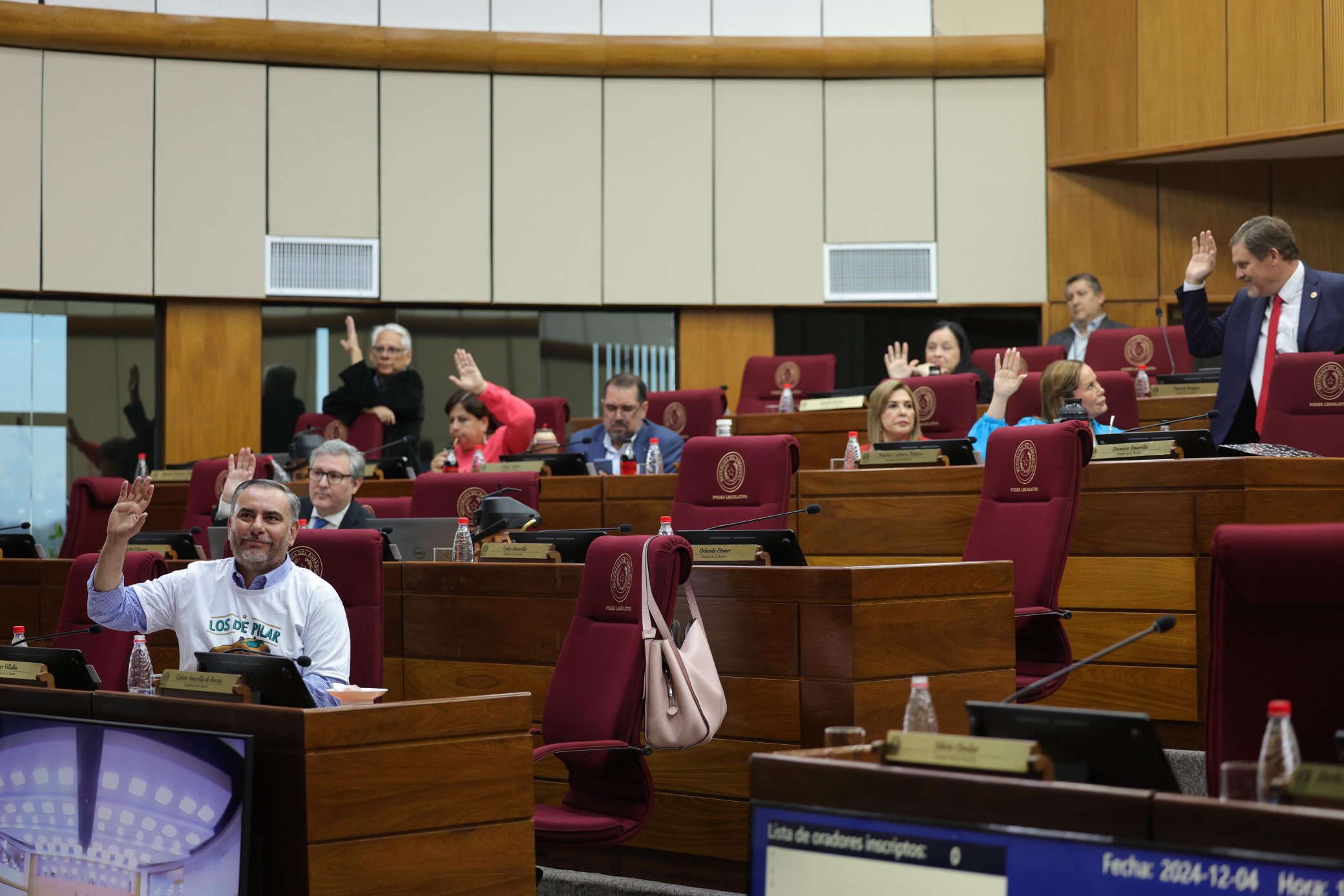 Sesión del Senado. Foto: Gentileza.