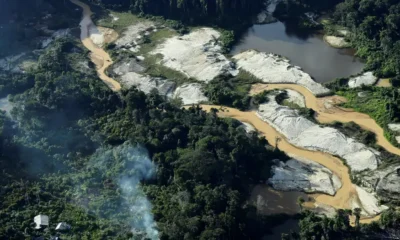 La minería ilegal no solo devasta el medio ambiente. Imagen: Ueslei Marcelino/DW