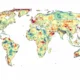 Los investigadores identificaron patrones térmicos alarmantes en regiones como China central, Japón y la península arábiga, donde el calor superó todas las predicciones. Imagen: Kornhuber et al., PNAS 2024 (CC BY-NC-ND 4.0)