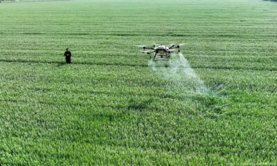 Fumigación. Foto refererncial. DW