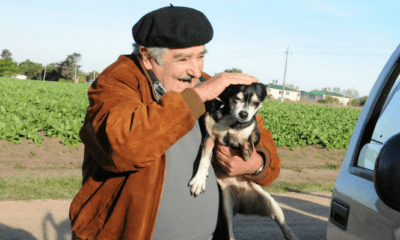 José "Pepe" Mujica junto a su perra Manuela. Foto: Infobae.