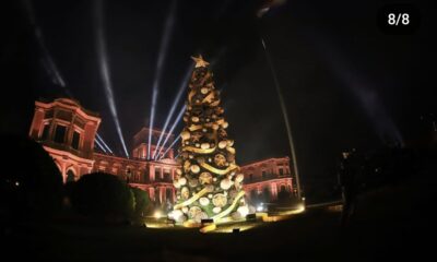 Árbol de la Guarania Navideña 2024. Foto: Gentileza.