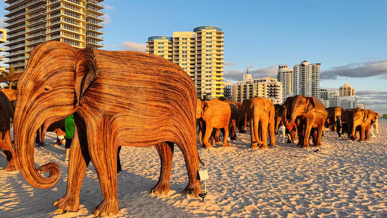 "The Great Elephant Migration" en Miami Art Week 2024: un proyecto que busca recaudar fondos para la conservación ambiental. (Opy Morales)