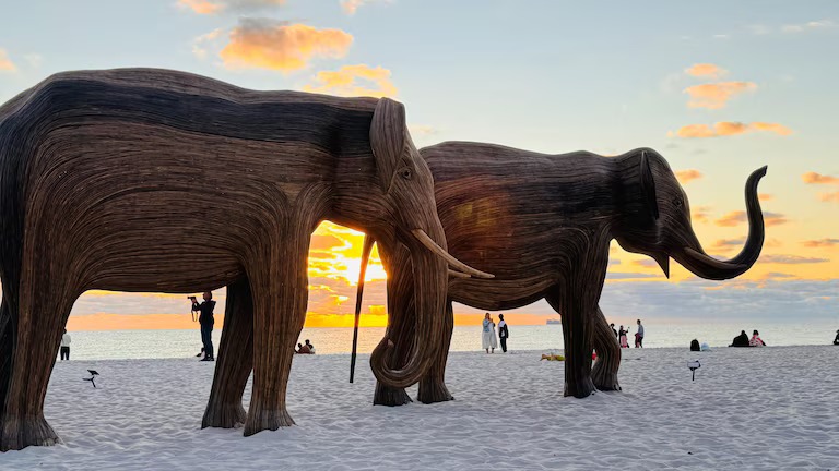 Las figuras de elefantes en Miami Beach pesan hasta 880 kilos y alcanzan los 4,5 metros de largo. (Opy Morales)