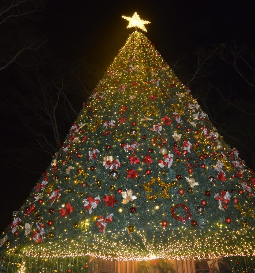 Árbol navideño en Villa Elisa. Foto: Gentileza.