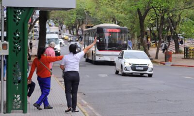 Buses del transporte público. Foto: MOPC.