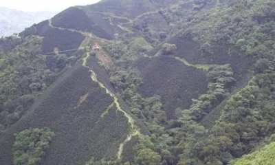 La región colombiana de Antioquia. Foto: DW