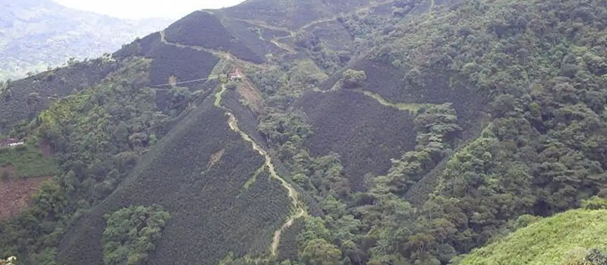 La región colombiana de Antioquia. Foto: DW