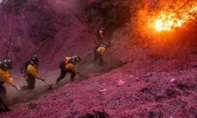 Incendio en Los Ángeles. Foto:DW