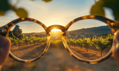 Los expertos destacan que una exposición adecuada a la luz solar promueve la producción de dopamina, regulando el crecimiento ocular (Imagen Ilustrativa Infobae)