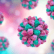 El norovirus afecta gravemente el sistema digestivo y causa vómitos, diarrea y náuseas intensas. Foto: Infobae.