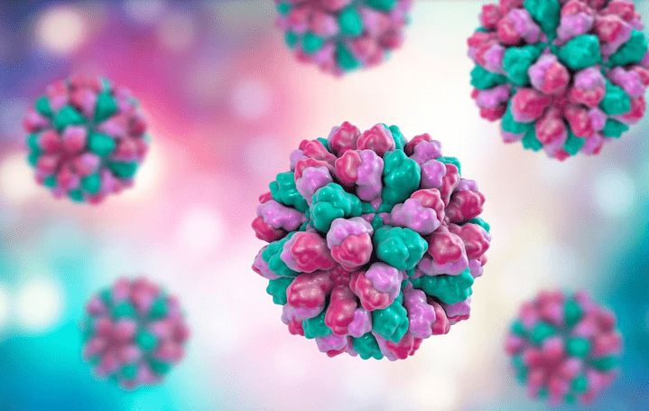 El norovirus afecta gravemente el sistema digestivo y causa vómitos, diarrea y náuseas intensas. Foto: Infobae.