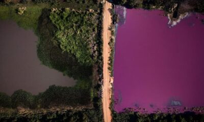 Laguna Cerro, localidad de Limpio, Paraguay. Fotografía de Jorge Saénz para The Associated Press (AP) difundida en sus redes sociales el día 5 de agosto de 2020.