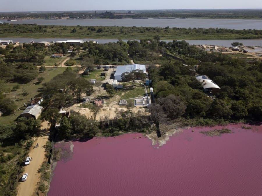 Empresa Waltrading en la laguna Cerro, localidad de Limpio, ParaguayFuente: Fotografía de Jorge Sáenz difundida en sus redes sociales el día 5 de agosto de 2020. 