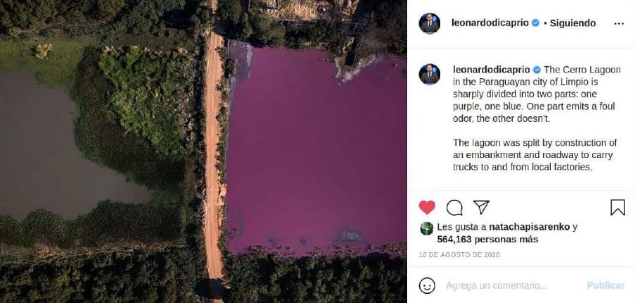 Posteo en Instagram de Leonardo Di CaprioFuente: Instagram de Leonardo Di Caprio – Posteo del día 16 de agosto de 2020. 