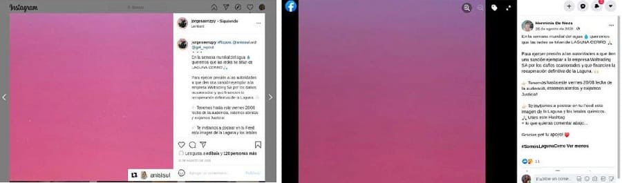 Acción Magenta: llamado a que las redes sociales se tiñan del color del agua contaminada en la Semana Mundial del AguaFuente: Instagram de @anisisul y de Jorge Sáenz. Facebook de Doña Herminia Valdez 