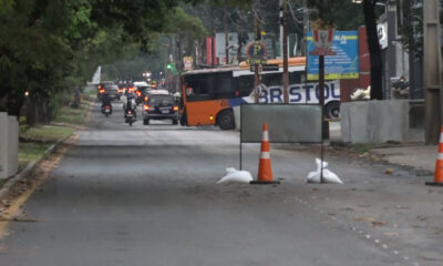 Obras en la avenida Mariscal López. Foto: El Nacional.