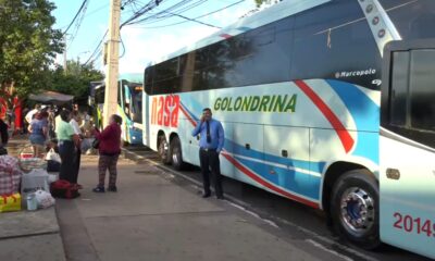 Buses de mediana y larga distancia. Foto: El Nacional.