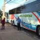 Buses de mediana y larga distancia. Foto: El Nacional.