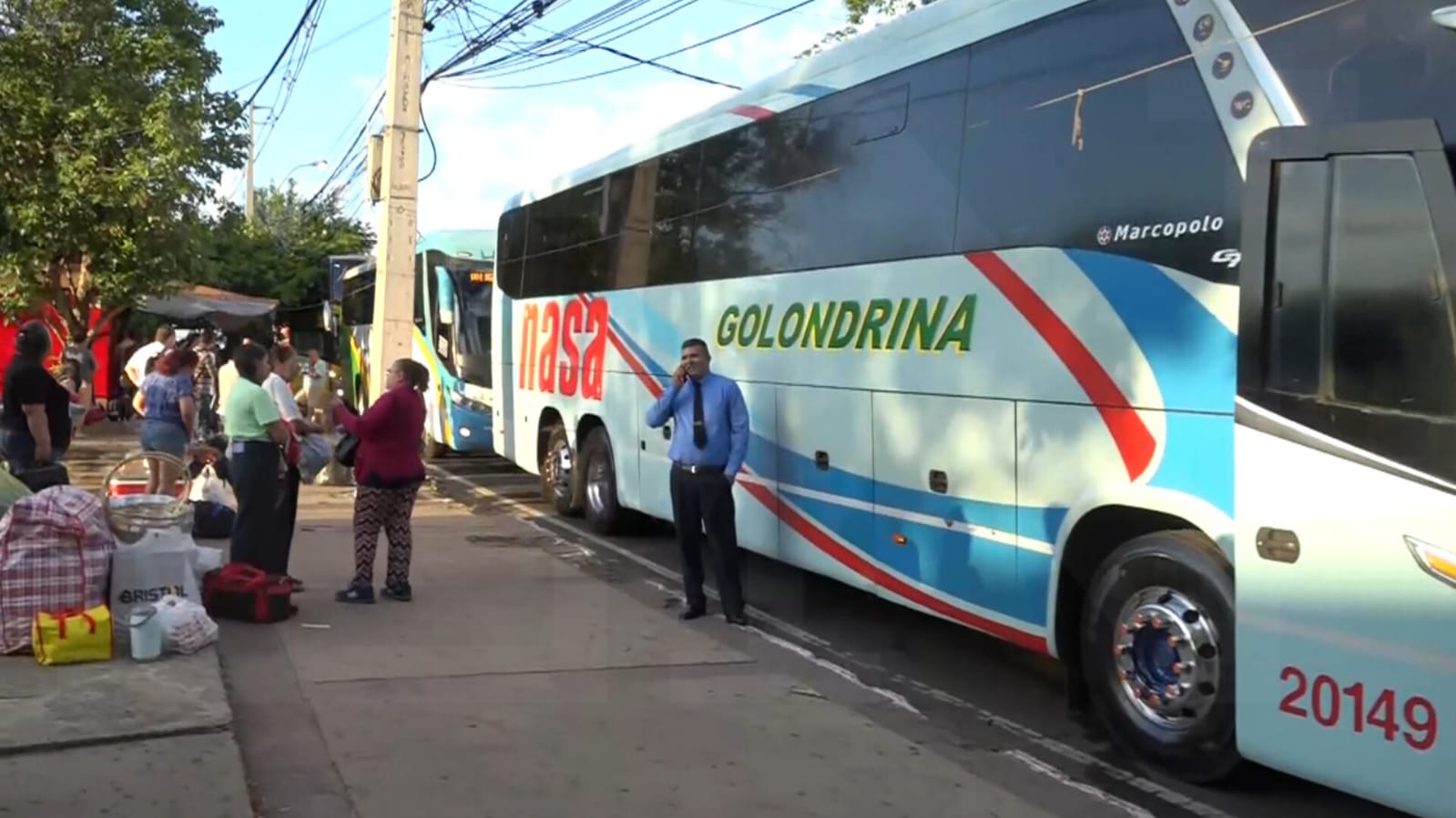 Buses de mediana y larga distancia. Foto: El Nacional.