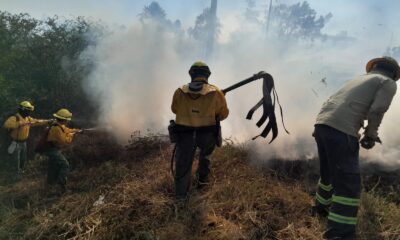 Incendios en inmediaciones de la ruta Luque - San Bernardino. Foto: Gentileza.